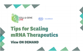 Cell - mRNA scaling24_09_cgl_1280x720_seg05
