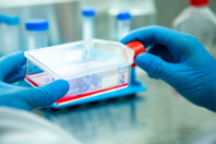 GettyImages-1491013278-cell-culture-lab