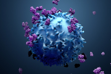 T Cells or Cancer Cells-iStock-1138937146