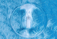 GettyImages-1299489003-- frozen--vaccine