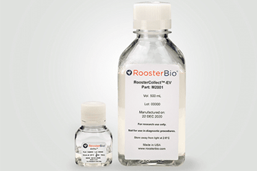 Exosomes,Extracellular Vesicles