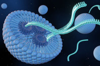 GettyImages-2151198847-lipid-nanoparticle-with-rna-strands