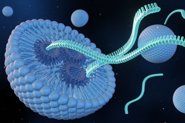 GettyImages-2151198847-lipid-nanoparticle-with-rna-strands