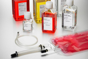 Corning Custom image