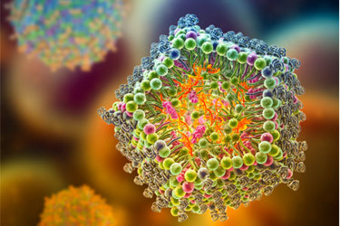 GettyImages-1437855768-lipid-nanoparticle-lnp-mrna vaccine