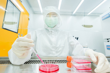 GettyImages-1173385629-lab-cell-culture-bioprocess-cleanroom