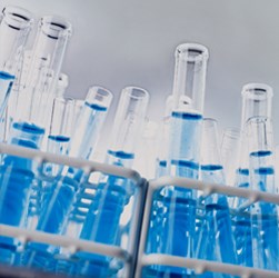 Investigational New Drug (IND) Programs