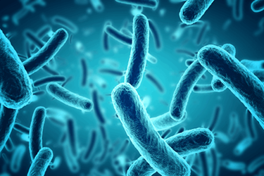 microbes-iStock-628978952 microbes-iStock-628978952