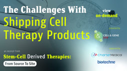 24_04_CGL_StemCell_Webinar_Seg11