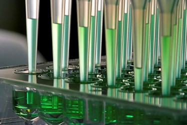 Bioprocess Pipette