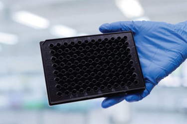 ValitaTiter Assays for IgG Quantification