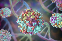 Adeno-associated viruses AAV GettyImages-1322096218