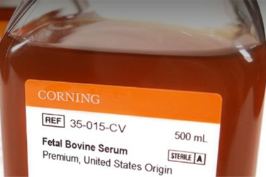 Corning Serum (FBS) image