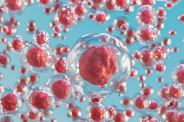 GettyImages-1435534172 stem cell