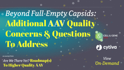 23_11_CGL_AAV_Webinar_Seg04