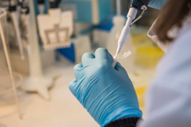 GettyImages-1475620245 lab, assay GettyImages-1475620245 lab, assay