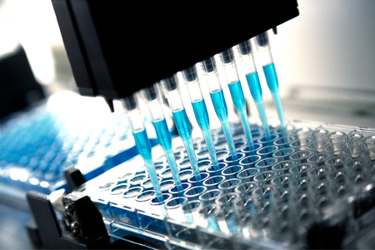 Pipettes GettyImages-94098912