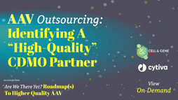 23_11_CGL_AAV_Webinar_Seg07