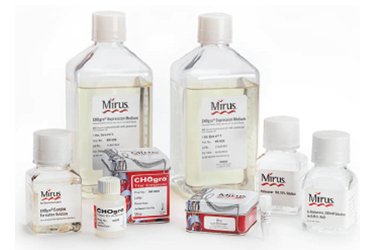 CHOgro® High Yield Expression System