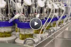 Eppendorf DASbox Mini Bioreactor System