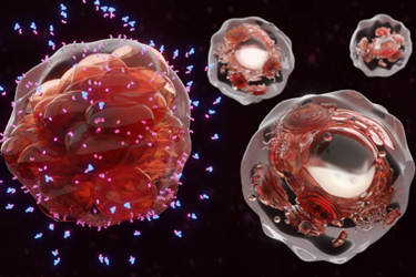 Cancer cell surrounded by therapeutic antibodies GettyImages-1250270684 Cancer cell surrounded by therapeutic antibodies GettyImages-1250270684