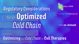 23_10_CGL_ColdChain_Webinar_Seg04