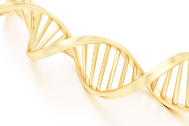 GettyImages-1302087925_gold