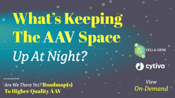 23_11_CGL_AAV_Webinar_Seg01