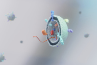 GettyImages-2009511436 extracellular vesicle