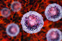 iStock-1015942770-stem cells