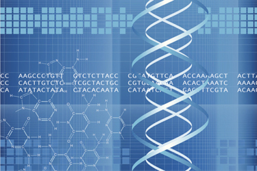 DNA Code-GettyImages-165657815