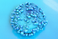 GettyImages-468043102 MSC