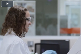 World Class Quality Standards