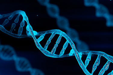 GettyImages-1297146235-dna