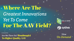 23_11_CGL_AAV_Webinar_Seg08