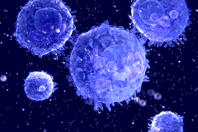 450x300-image-lymphocytes