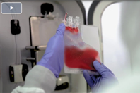 Finia Fill And Finish