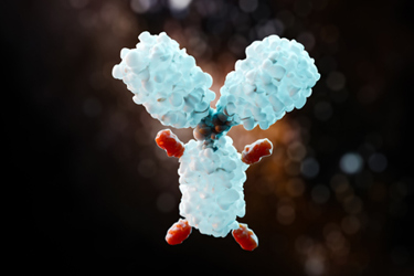 anticancer drug, ADC-GettyImages-2148345960