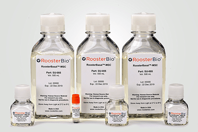 Cell Culture Media & Supplements