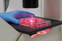 GettyImages-1590452153-assay-well-plate-microcscope-image