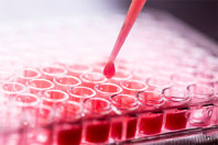 GettyImages-1931925757-assay-well-plate-pipette-red-liquid