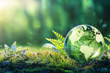 Environment Conservation GettyImages-1309463809 Environment Conservation GettyImages-1309463809