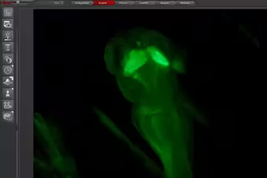 leica-microsystems-las-x-life-science-hero