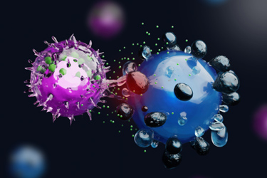 Natural-killer-cells-GettyImages-1396855014