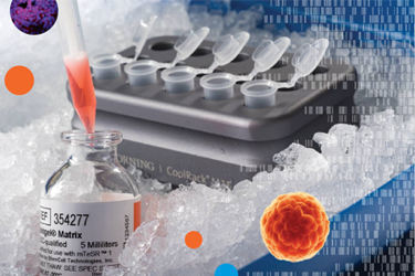 Corning Matrigel Matrix